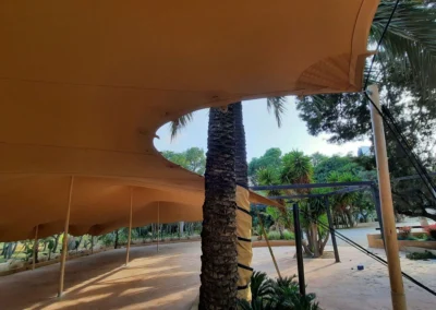 carpa a medida sorteando árbol