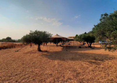 Carpa beduina en medio del campo