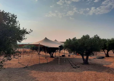 Carpa beduina en olivares