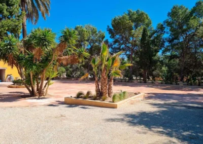 Finca con árboles y obstáculos para montaje de carpa beduina permanente