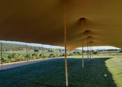 interior carpa beduina