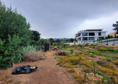 Terreno disponible para carpa beduina